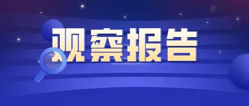 信息技術(shù)應(yīng)用調(diào)研及對(duì)法律服務(wù)行業(yè)的影響觀察報(bào)告——聚焦信息技術(shù)咨詢(xún)服務(wù)