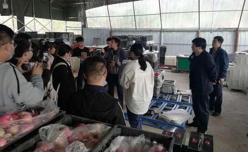 校地合作謀振興 河北科技大學(xué)電商專業(yè)與李保國干部學(xué)院共促漿水蘋果產(chǎn)業(yè)升級